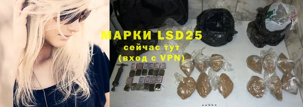 ГАЛЛЮЦИНОГЕННЫЕ ГРИБЫ Елабуга