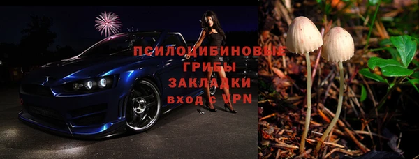 крисы Елизово
