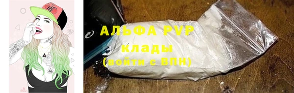 ГАЛЛЮЦИНОГЕННЫЕ ГРИБЫ Елабуга