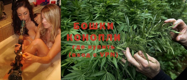 крисы Елизово