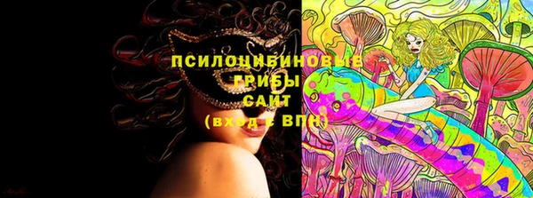 ГАЛЛЮЦИНОГЕННЫЕ ГРИБЫ Елабуга