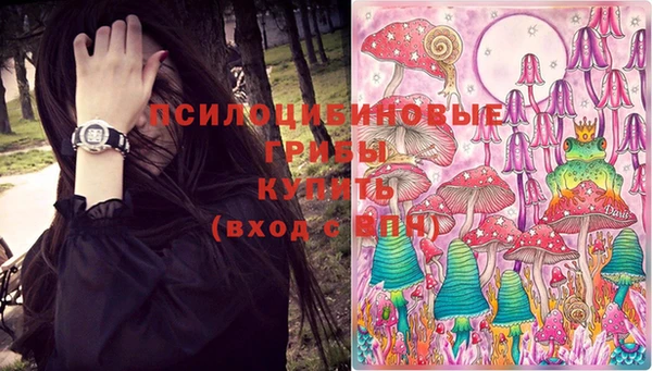 ГАЛЛЮЦИНОГЕННЫЕ ГРИБЫ Елабуга