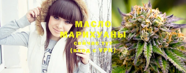 apvp Ельня