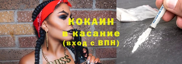 apvp Ельня