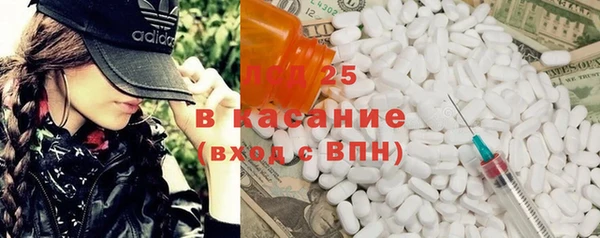 apvp Ельня