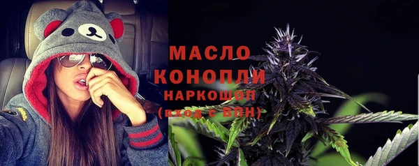 apvp Ельня