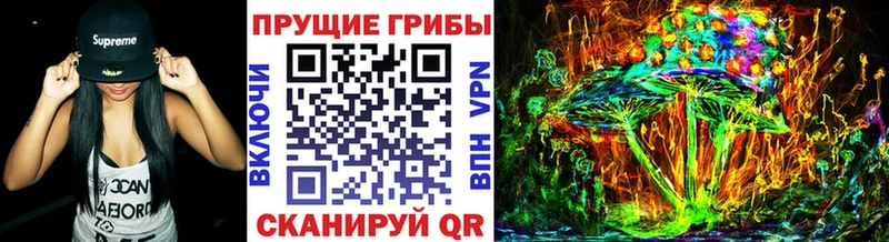 Купить  Можайск  Галлюциногенные грибы мухоморы 